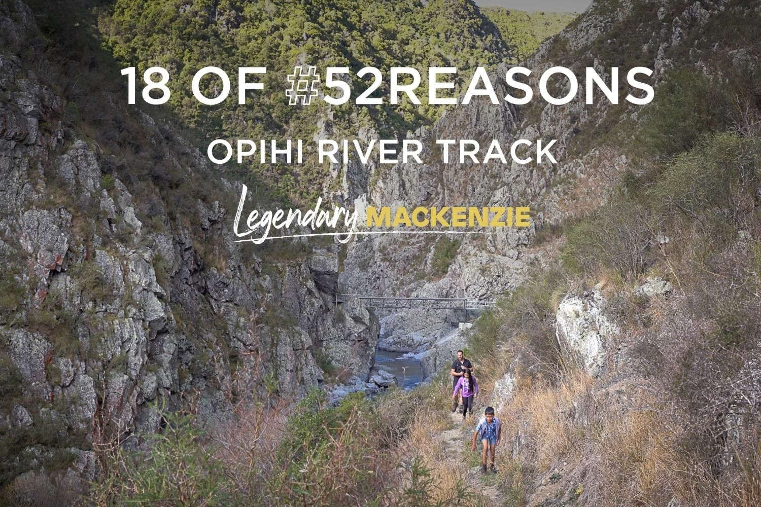 Opihi River Track