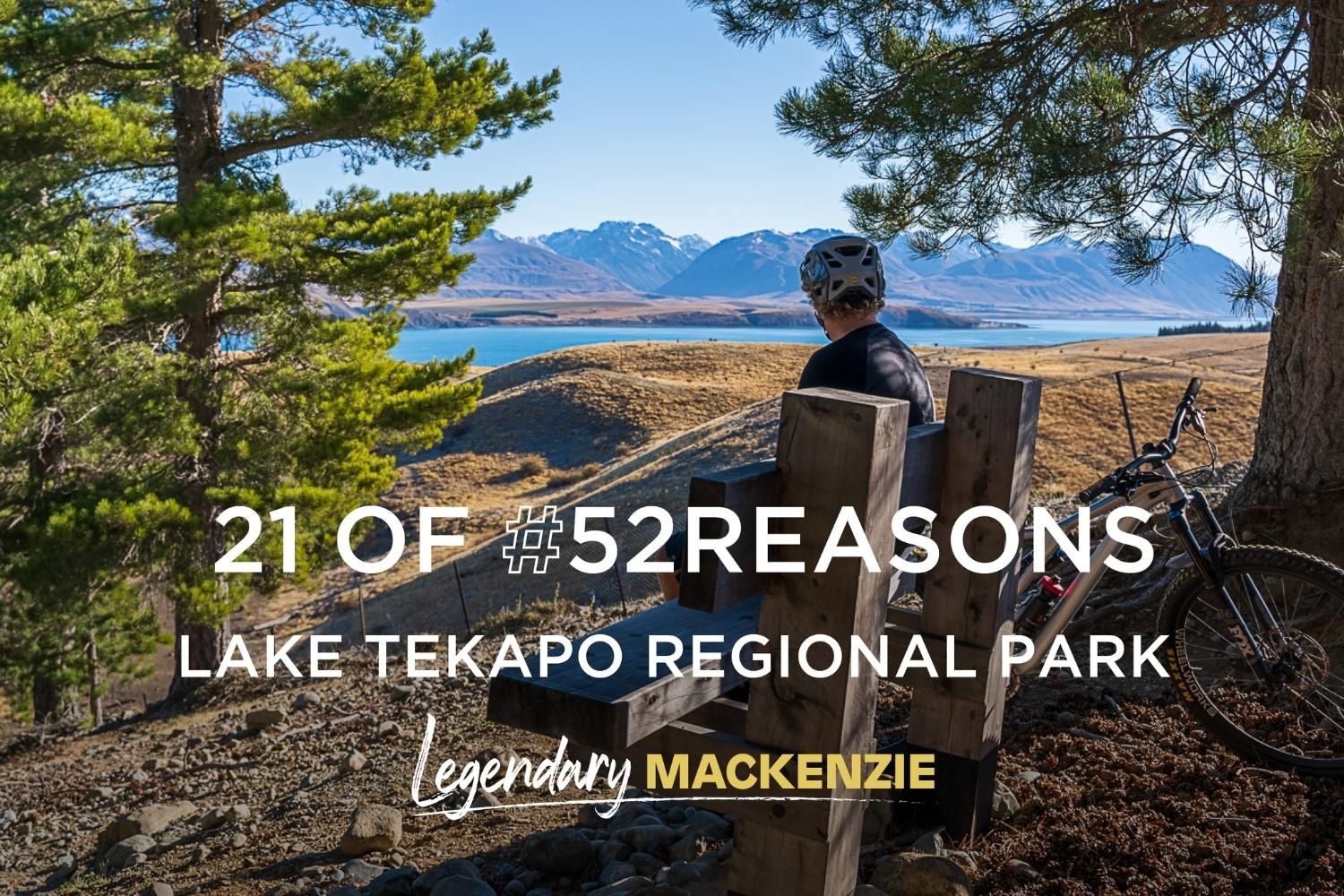 Lake Tekapo Regional Park