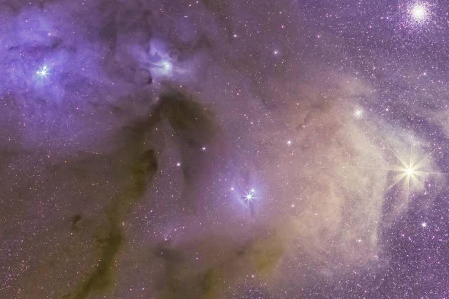 Alpha CruX Stargazing & Astrophotography