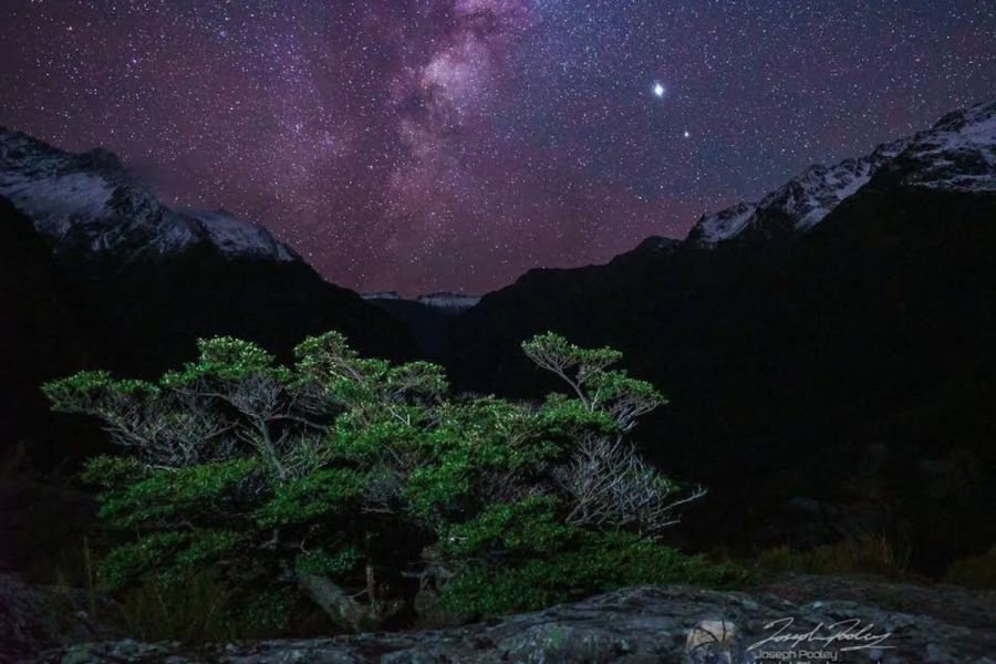 Alpha CruX Stargazing & Astrophotography