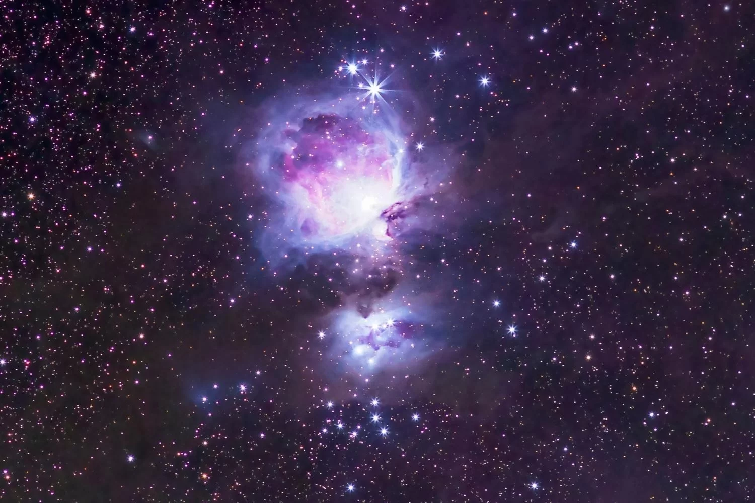 Alpha CruX Stargazing & Astrophotography