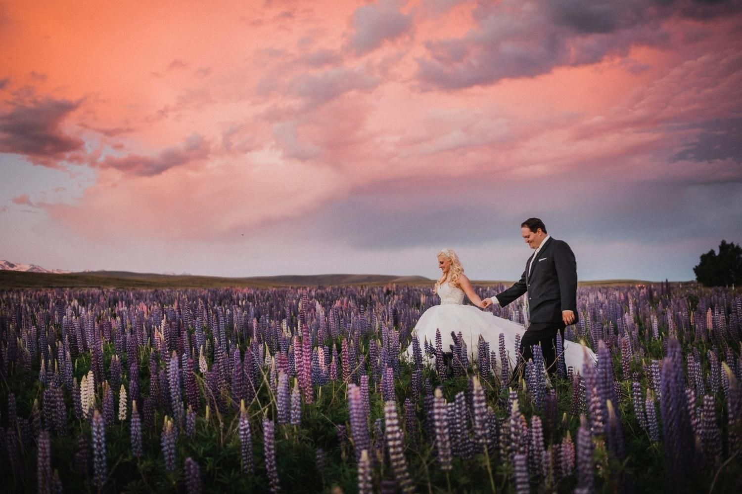 Andy Brown Photography