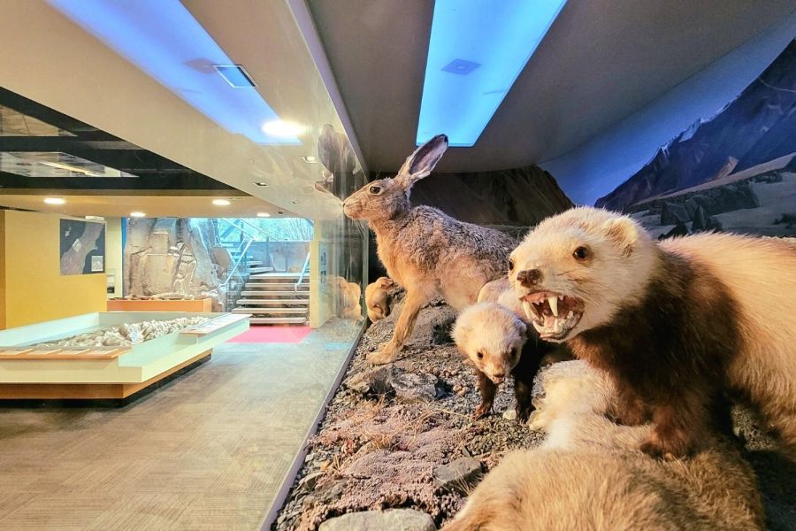 Aoraki/Mount Cook Visitor Centre