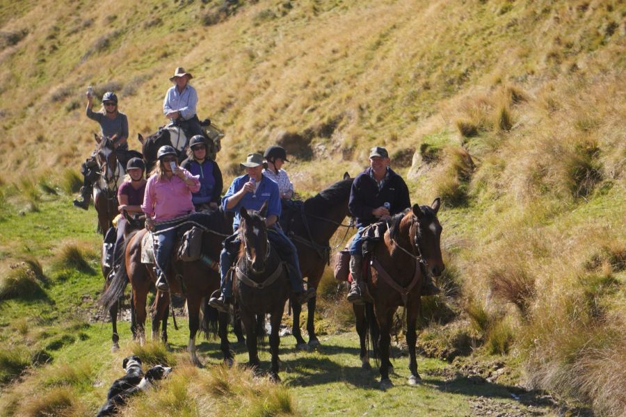 Blue Mountain Station