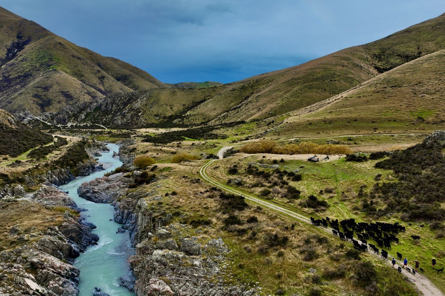 Blue Mountain Station