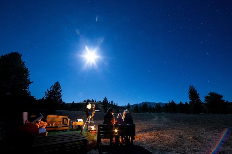 Chameleon Stargazing