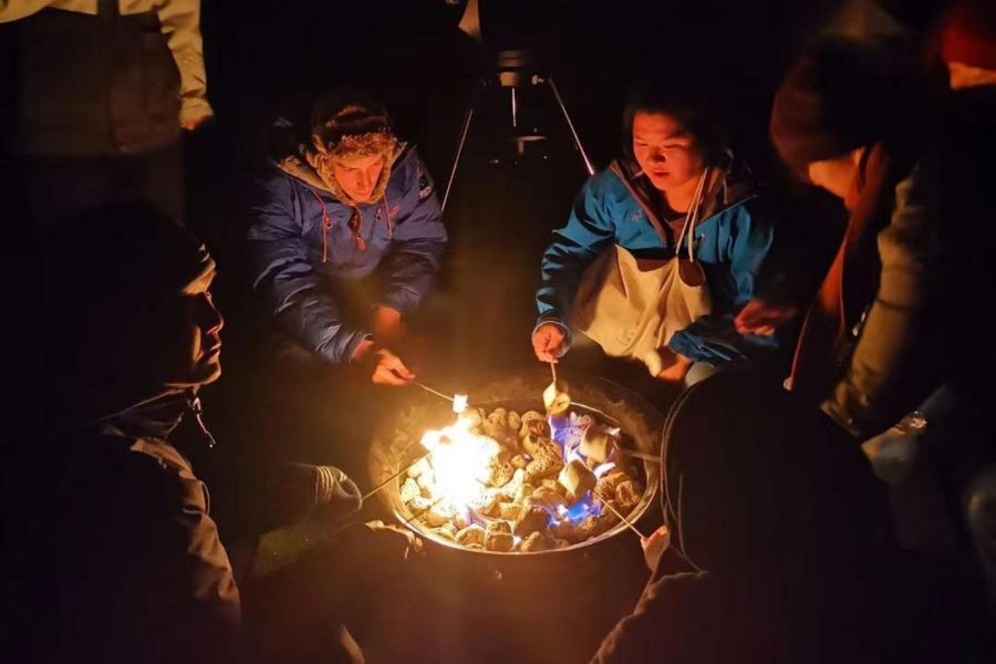 Chameleon Stargazing