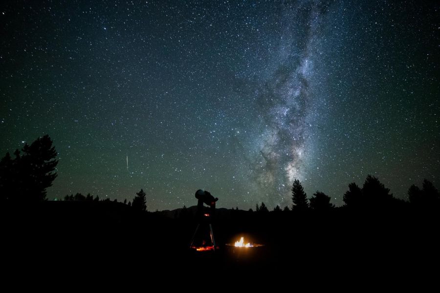 Chameleon Stargazing