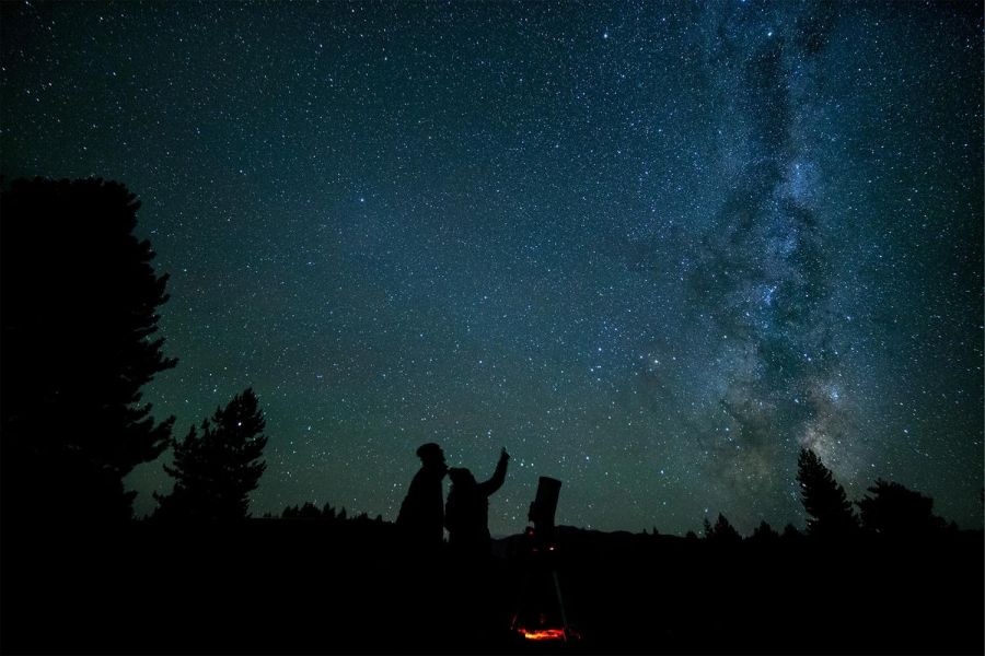 Chameleon Stargazing