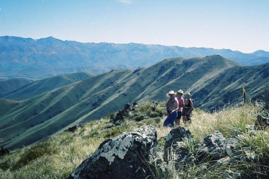 Four Peaks High Country Track
