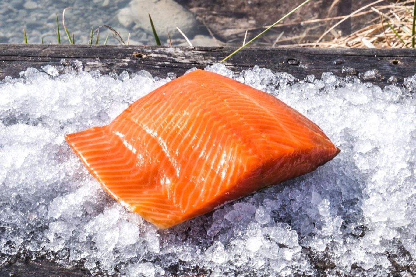 High Country Salmon Mackenzie Region, New Zealand