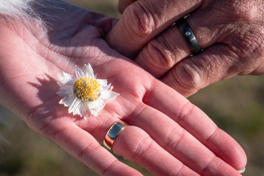 Hitched in the High Country