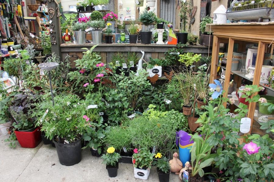 JR’s General Store