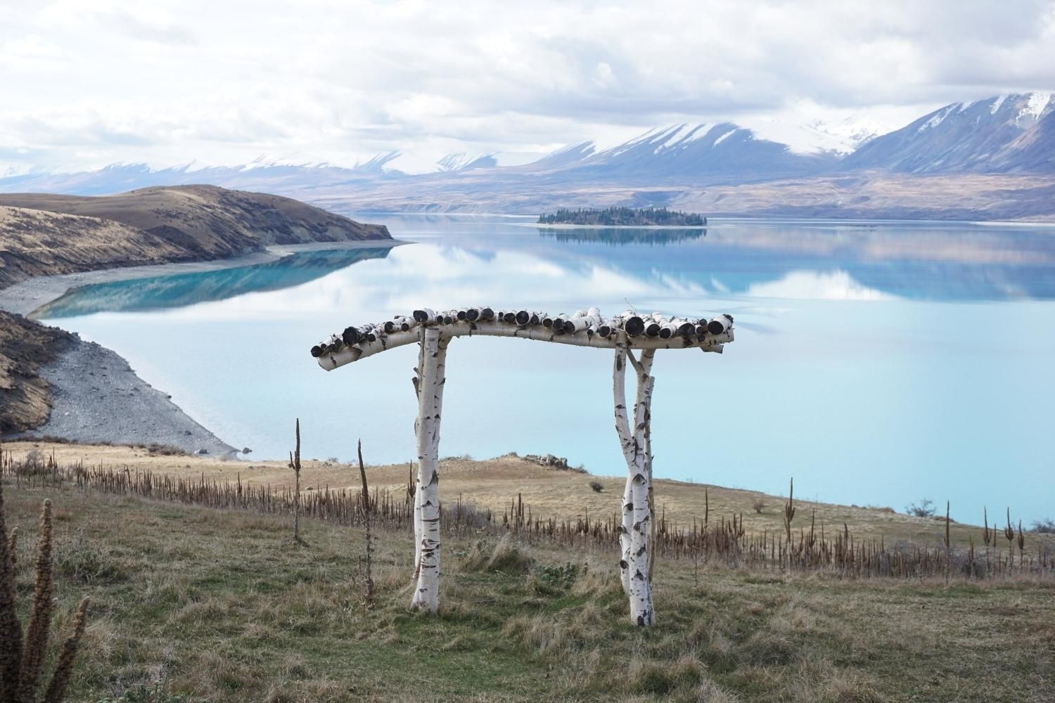 Lake Tekapo Farm Tours Mackenzie Region, New Zealand