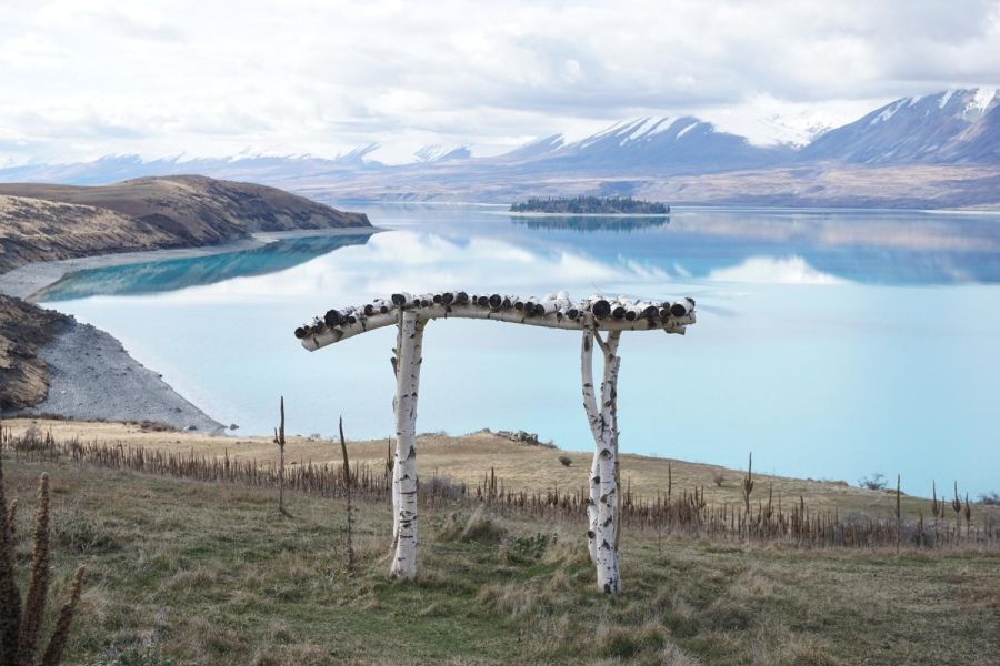 Lake Tekapo Farm Tours