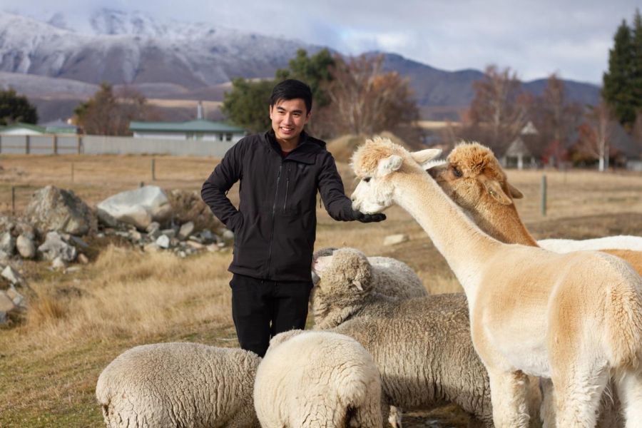 Lake Tekapo Farm Tours