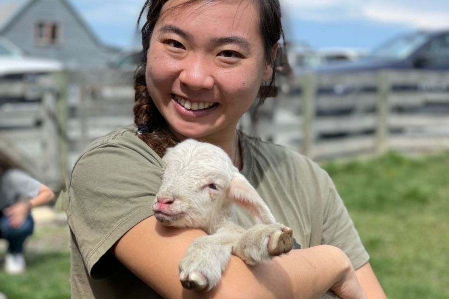 Lake Tekapo Petting Zoo