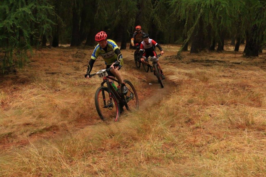 Lake Tekapo Regional Park