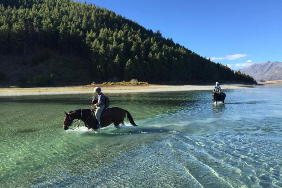 Mackenzie Alpine Horse Trekking