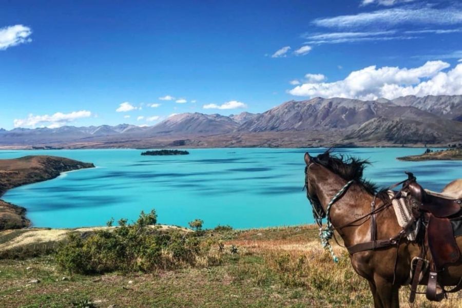 Mackenzie Alpine Horse Trekking