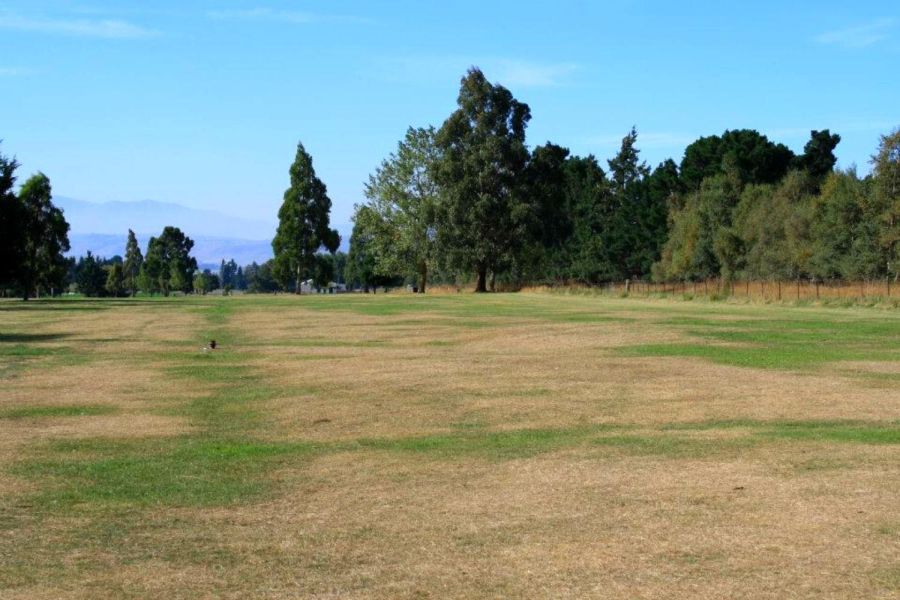 Mt Nessing Golf Club