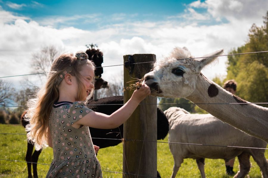 Musterer's Accommodation