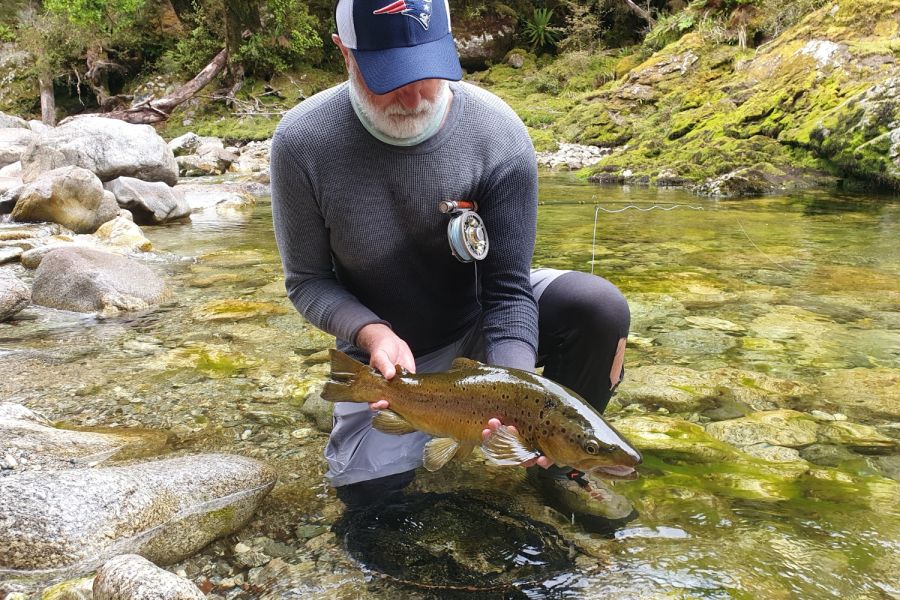 NZ Trout Adventures