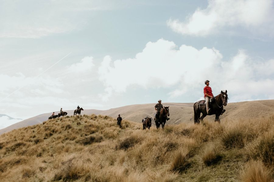 Real Kiwi Horse Trekking