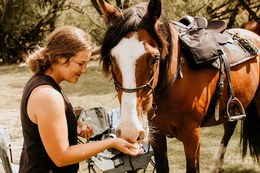 Real Kiwi Horse Trekking