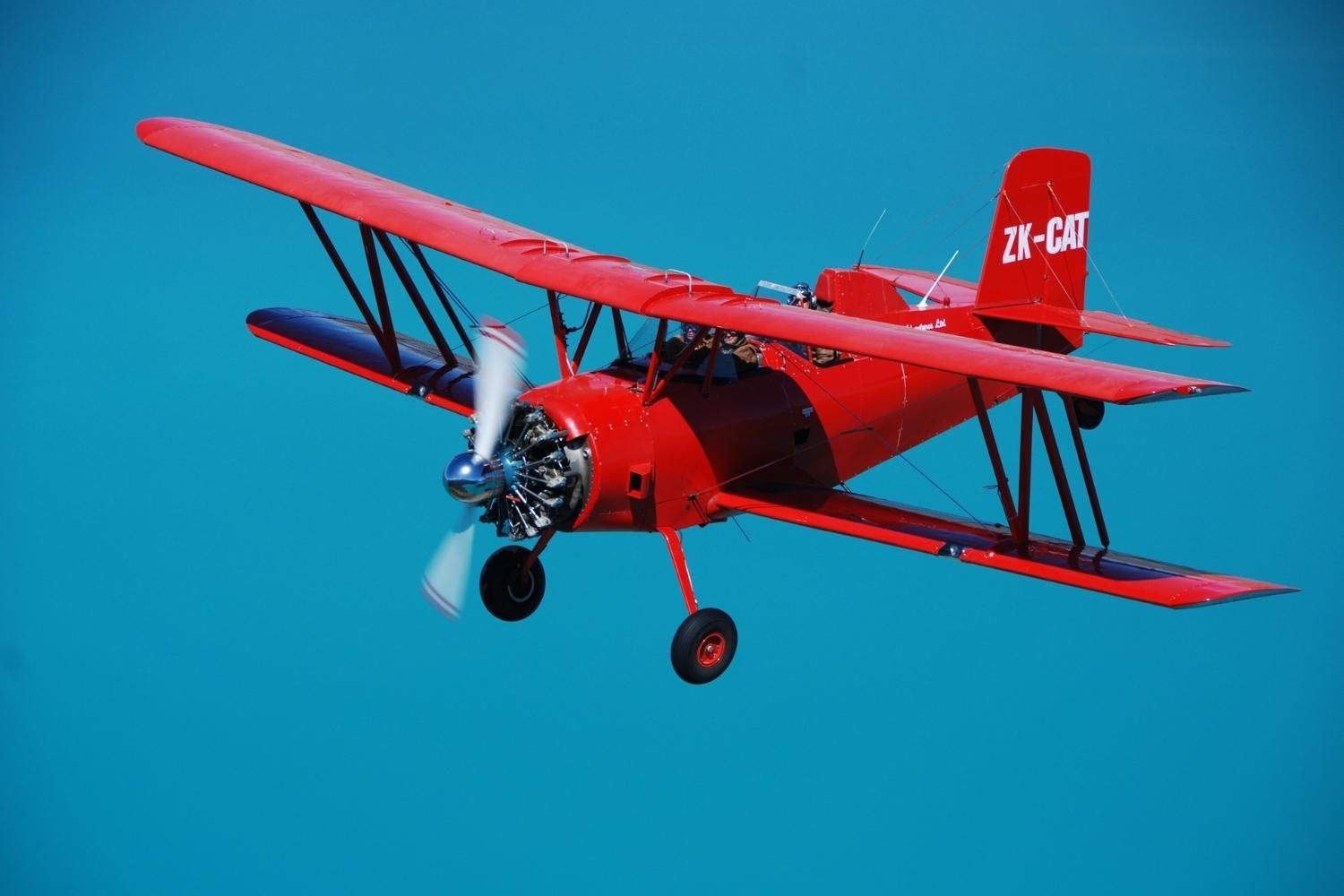 Red Cat Biplane Flights