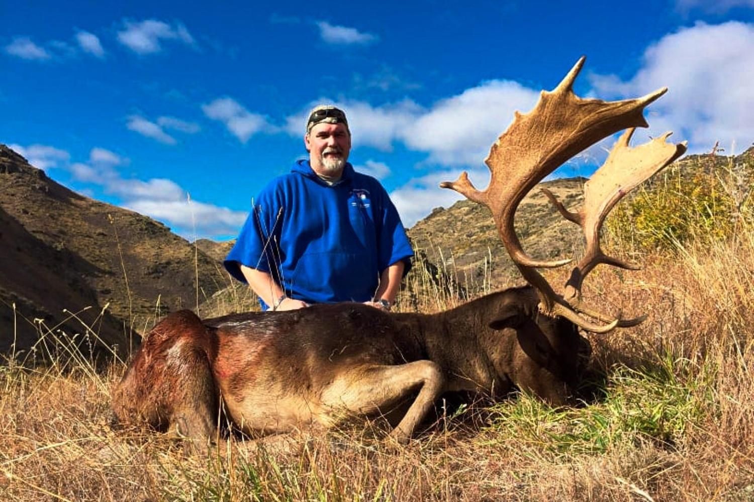 hunt red stag in New Zealand hunt red stag in New Zealand