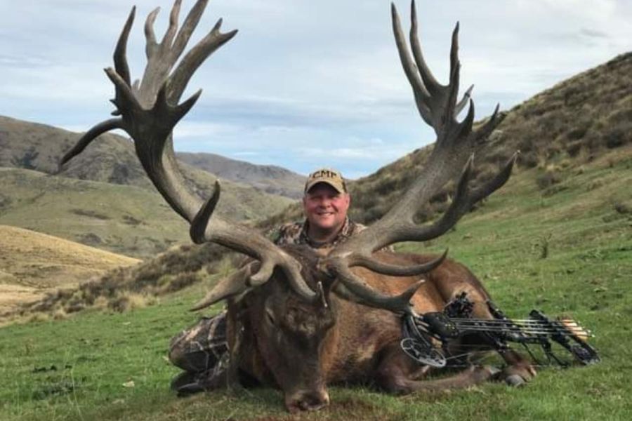 Red Stag Hunting NZ