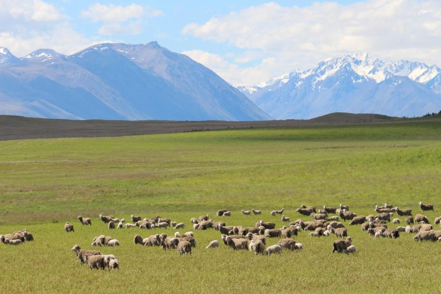 Sawdon Station Accommodation