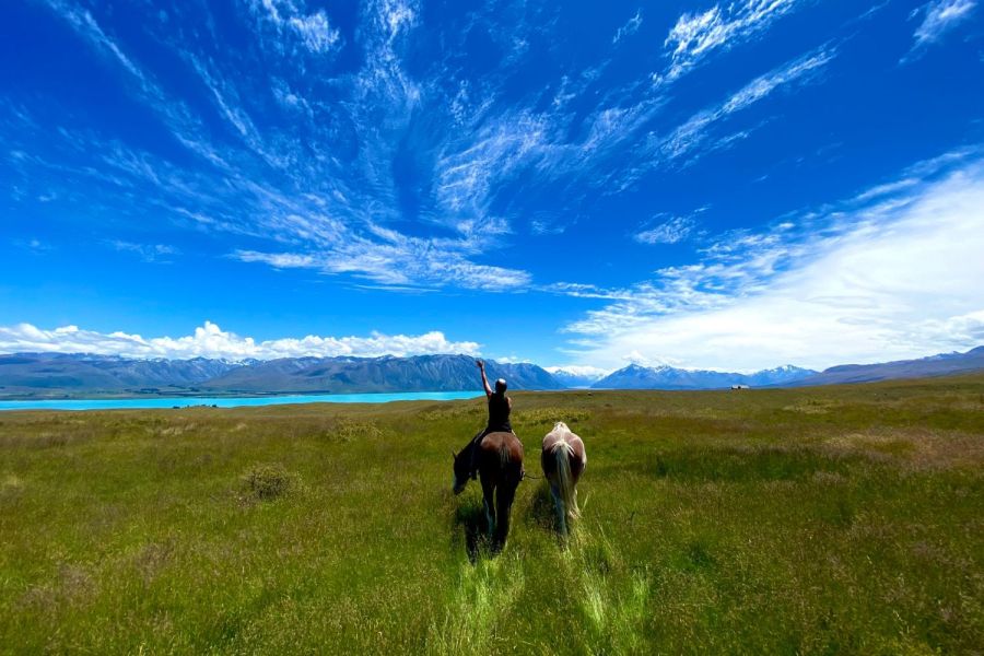 Silverstream Clydesdales
