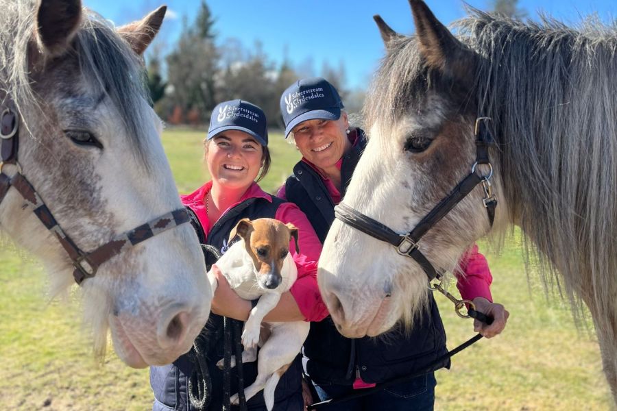 Silverstream Clydesdales