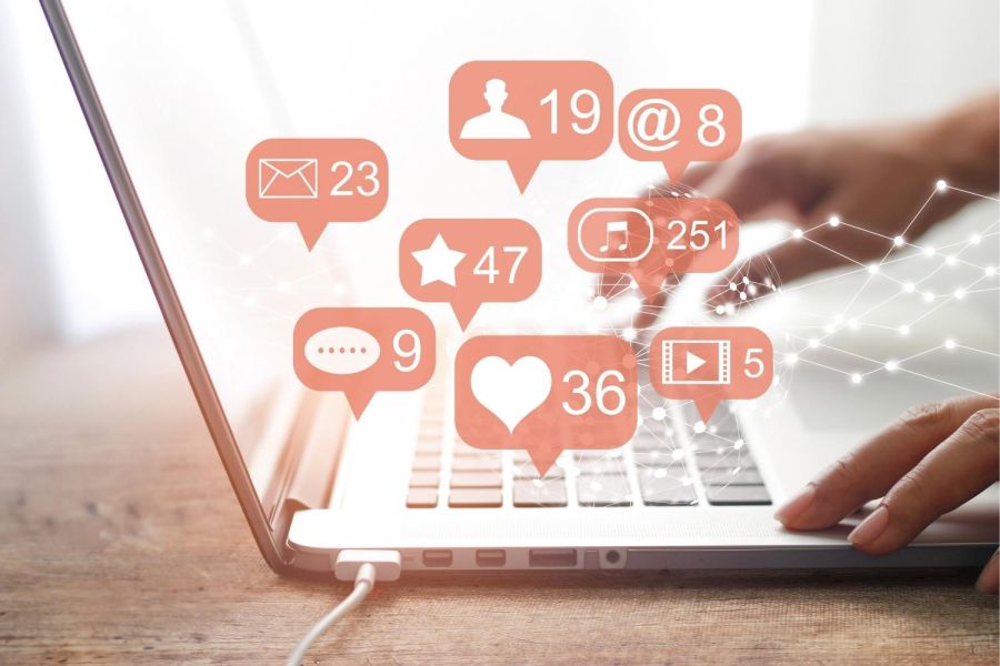 The Social Experience