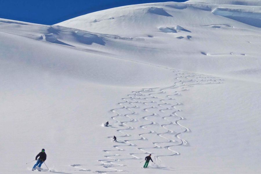 Southern Alps Guiding