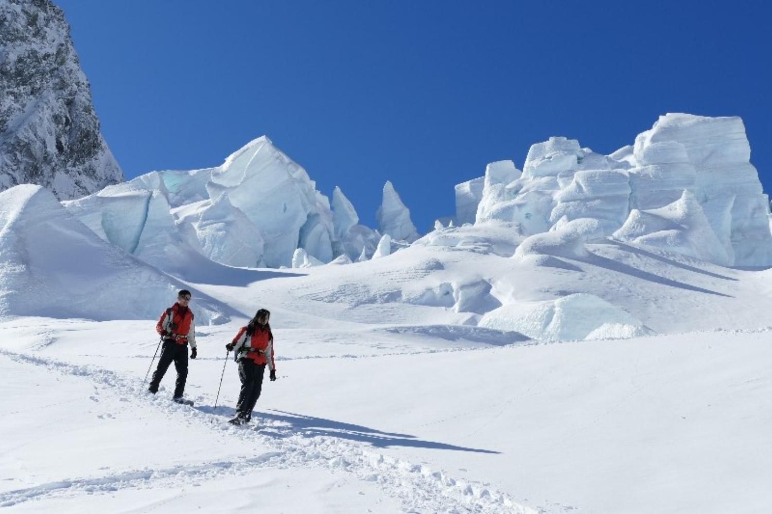 Southern Alps Guiding