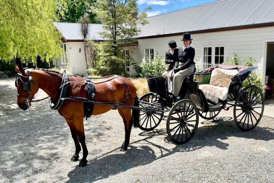Tekapo Horse & Carriage