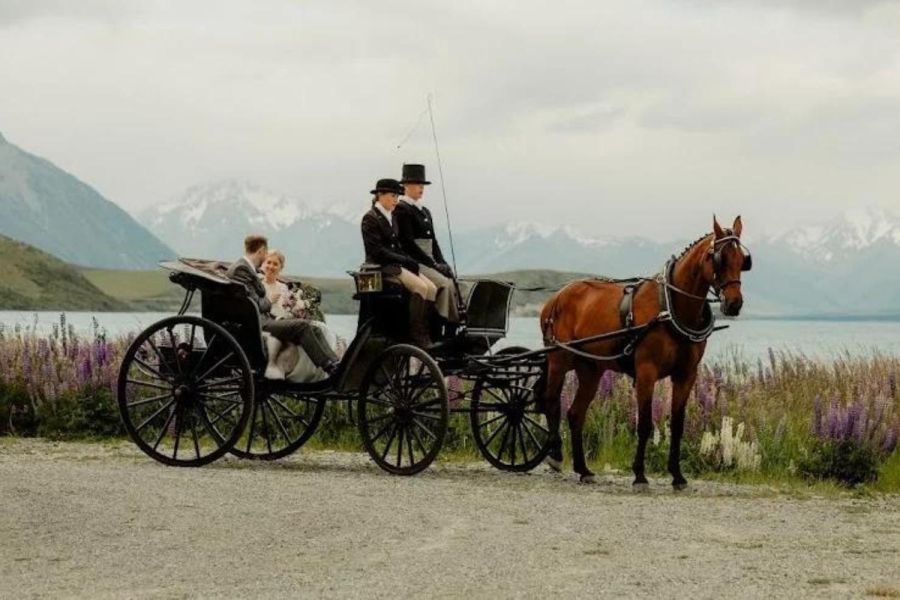 Tekapo Horse & Carriage