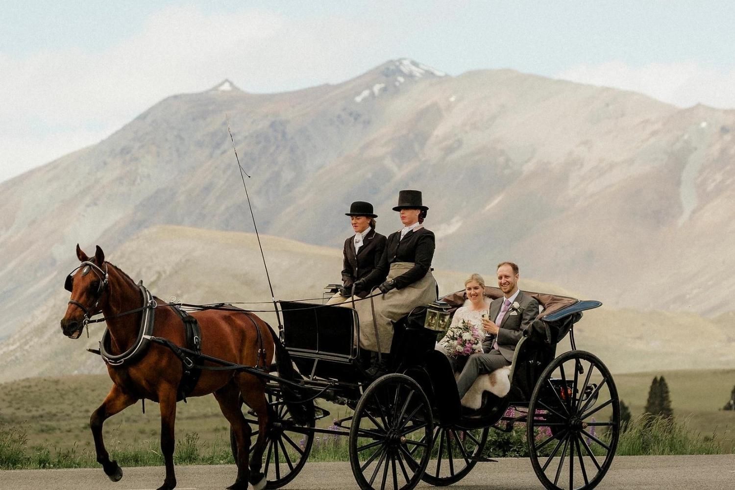 Tekapo Horse & Carriage